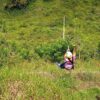 Monkey Jungle And Zip Line - Image 7