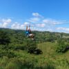 Monkey Jungle And Zip Line - Image 4