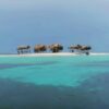 Paradise Island - Image 5