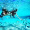 Paradise Island - Image 2