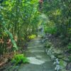 Taino Valley Tour – Cruise Ship Passengers Only - Image 9