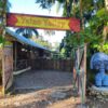 Taino Valley Tour – Cruise Ship Passengers Only - Image 12