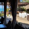 Bacardi island Samana Las Terrenas en whale watching vip - Image 5