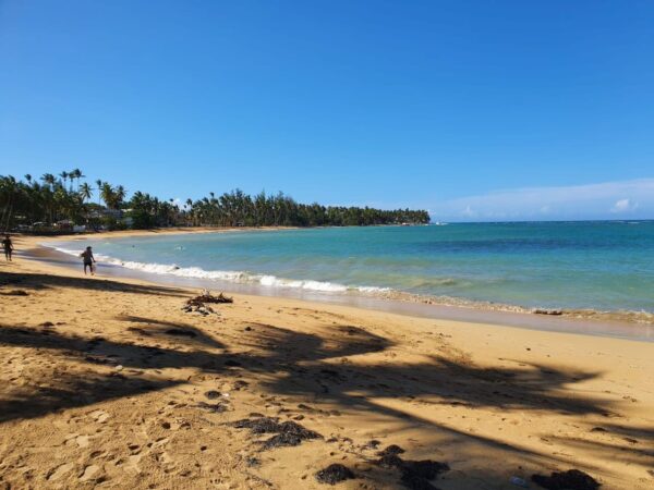 Bacardi island Samana Las Terrenas en whale watching vip