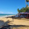 Bacardi island Samana Las Terrenas en whale watching vip - Image 4