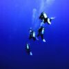 Scuba Diving - Image 5
