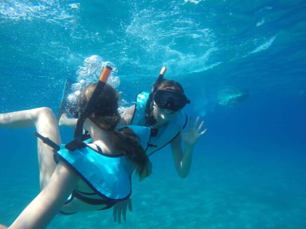 Snorkel Tour