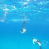 Snorkel Tour - Image 4