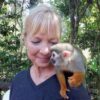 Monkey Jungle And Zip Line - Image 9