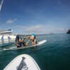 Standup Paddle Boarding Rental - Image 4