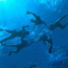 Snorkel Tour - Image 5