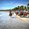 Horses back riding excursion Departing from Cabarete / Adult $65 USD (1 hr)/ Chill $40 USD (Beach and Mountain Tours Adult $95USD Chill $60USD) - Image 3