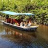 Jungle Safari Excursion Departing from Puerto Plata / $75 USD - Image 5