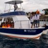 Party Catamaran And Snorkeling Excursion Departing from Puerto Plata / Adult $85 / Child $45 - Image 3