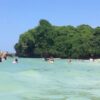 Samana Bacardi Island & Waterfall of Limon Tour departing from Sosua / $125 - Image 3