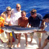 Deep Sea Fishing Excursion Departing from Puerto Plata / $125 USD - Image 3