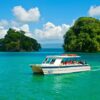 Samana & Bacardi Island with the Haitises Tour departing from Cabarete / $125 - Image 9