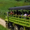 Jungle Safari Excursion Departing from Puerto Plata / $75 USD - Image 2